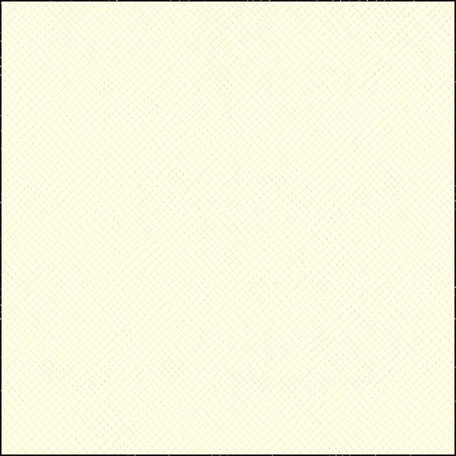 Cream & Off-White Cardstock 80 lb Textured Scrapbook Paper Single