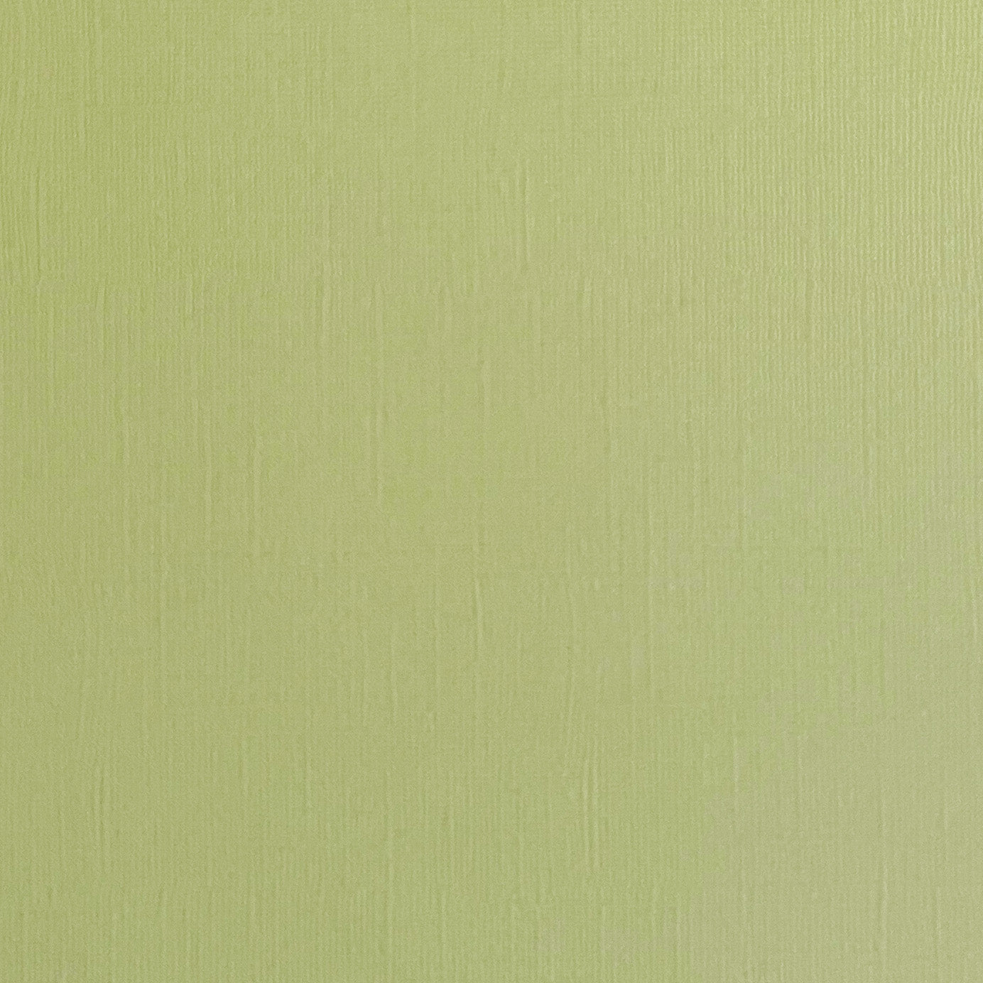 TEA GREEN 12x12 Textured Pale Green Cardstock Encore Paper The