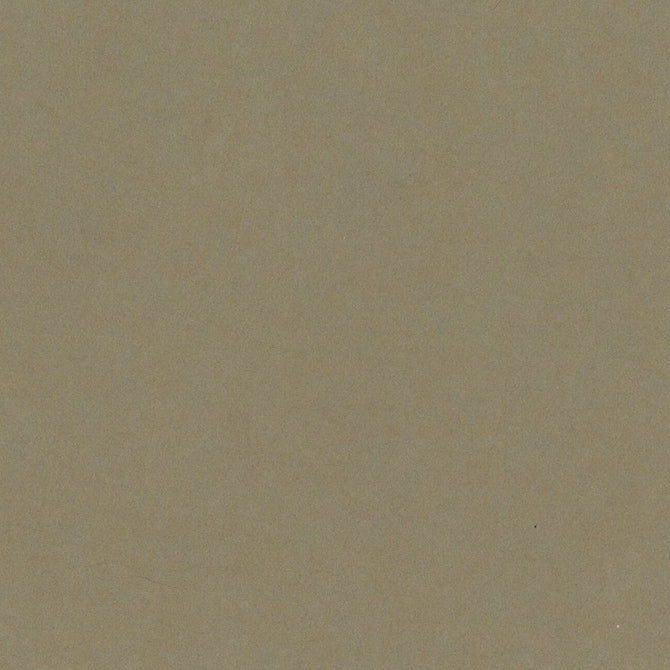 PEANUT CLUSTER 100 lb Light Brown 12x12 Cardstock Bazzill Card