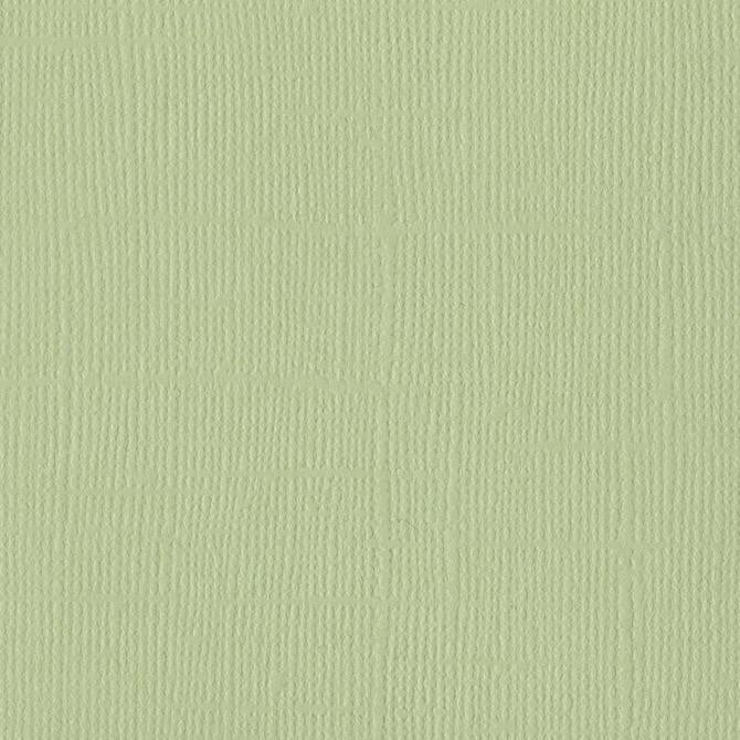 Aloe Vera - 12x12 Light Green Cardstock by Bazzill - 80 lb Paper Single