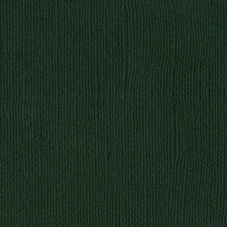 Aspen – 12x12 Dark Green Cardstock Bazzill Textured Scrapbook Paper Single