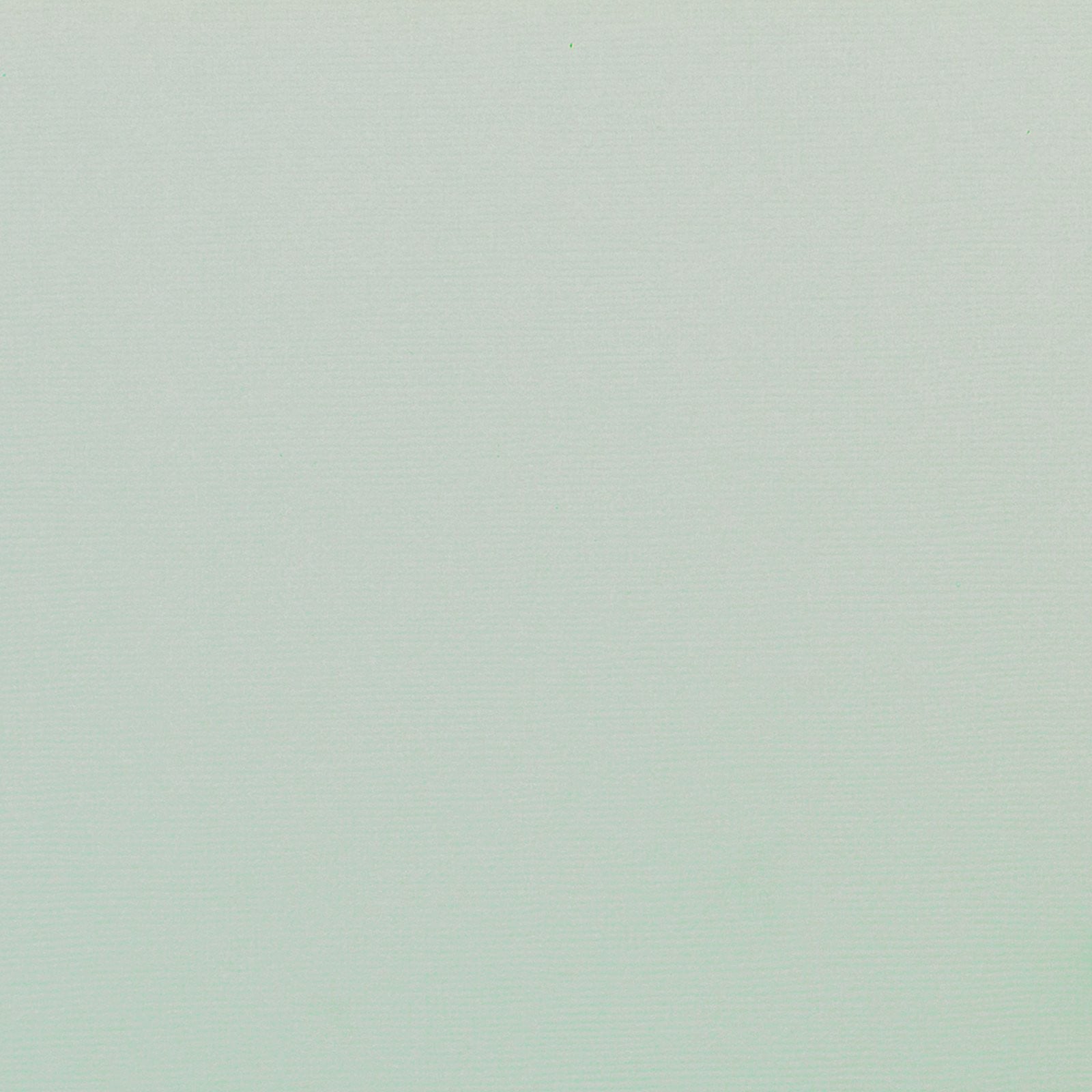 BUBBLES 12x12 Pale Green Cardstock American Crafts Scrapbook Paper