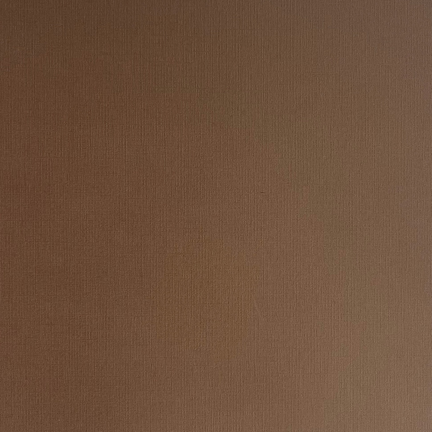 Cafe Au Lait - Textured 12x12 Cardstock - coffee brown canvas scrapbook paper