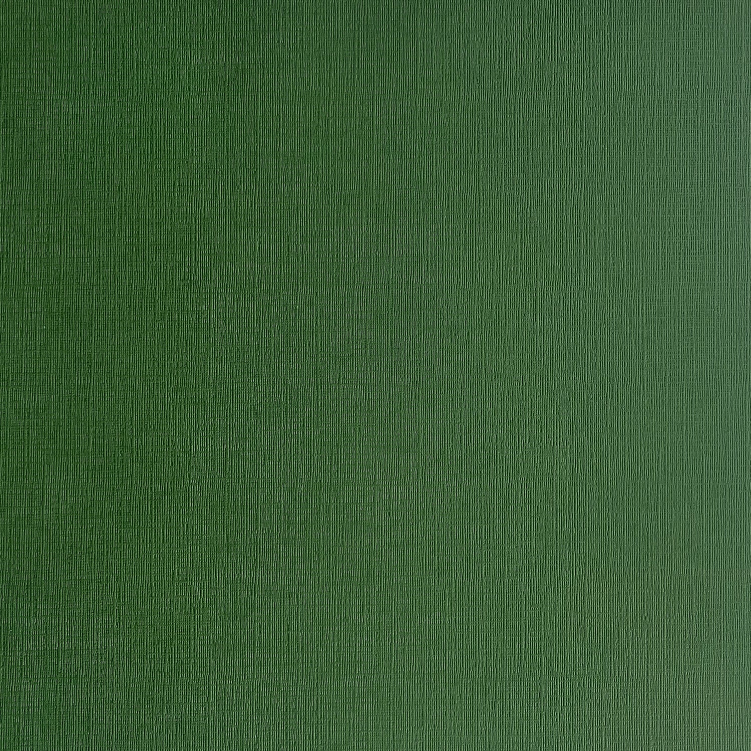 EVERGREEN 12x12 Textured Forest Green Cardstock My Colors The 12x12