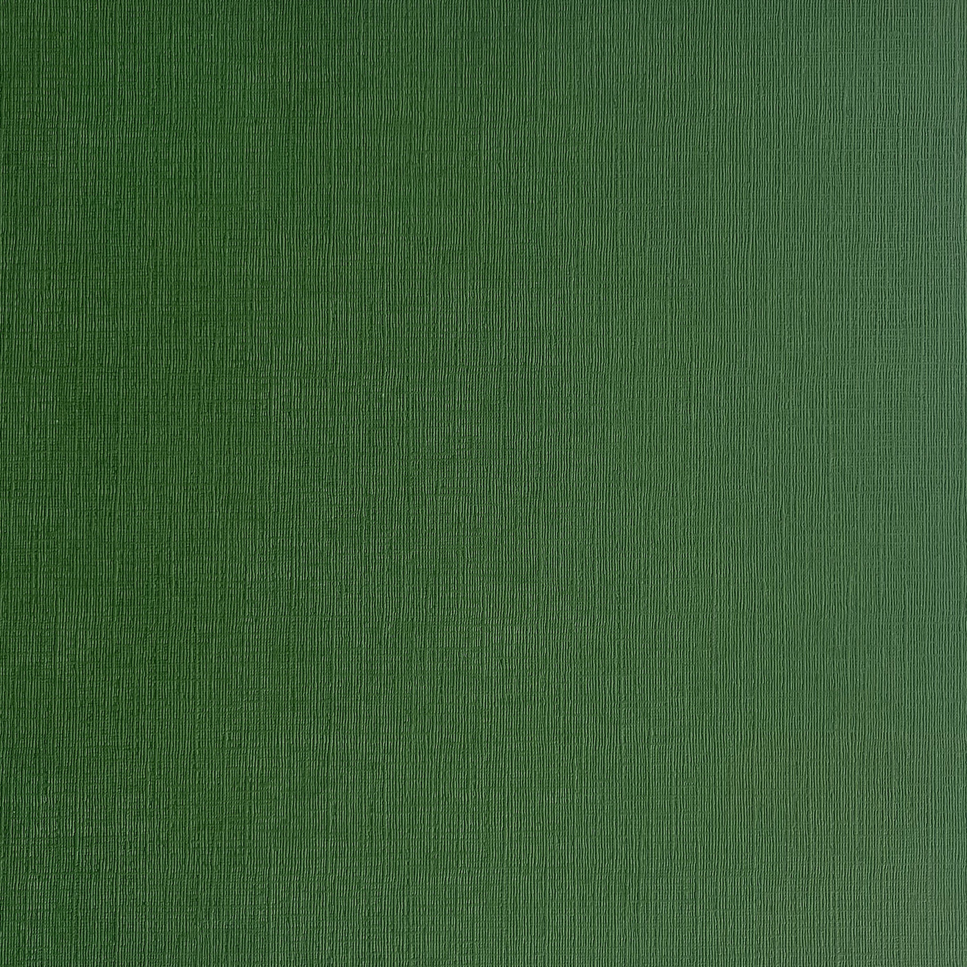 Evergreen - Textured 12x12 Cardstock - Dark green canvas scrapbook paper