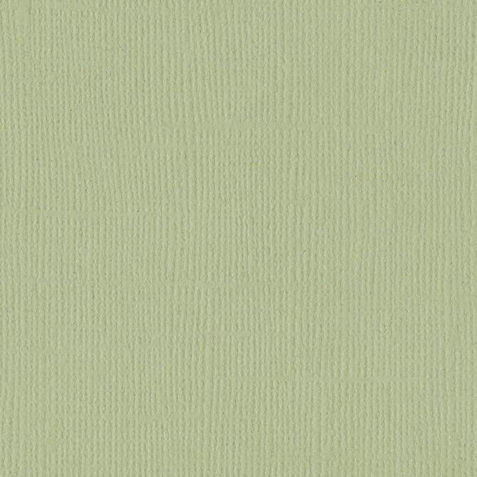 PEAR 12x12 Light Green Cardstock Textured Bazzill Scrapbook Paper