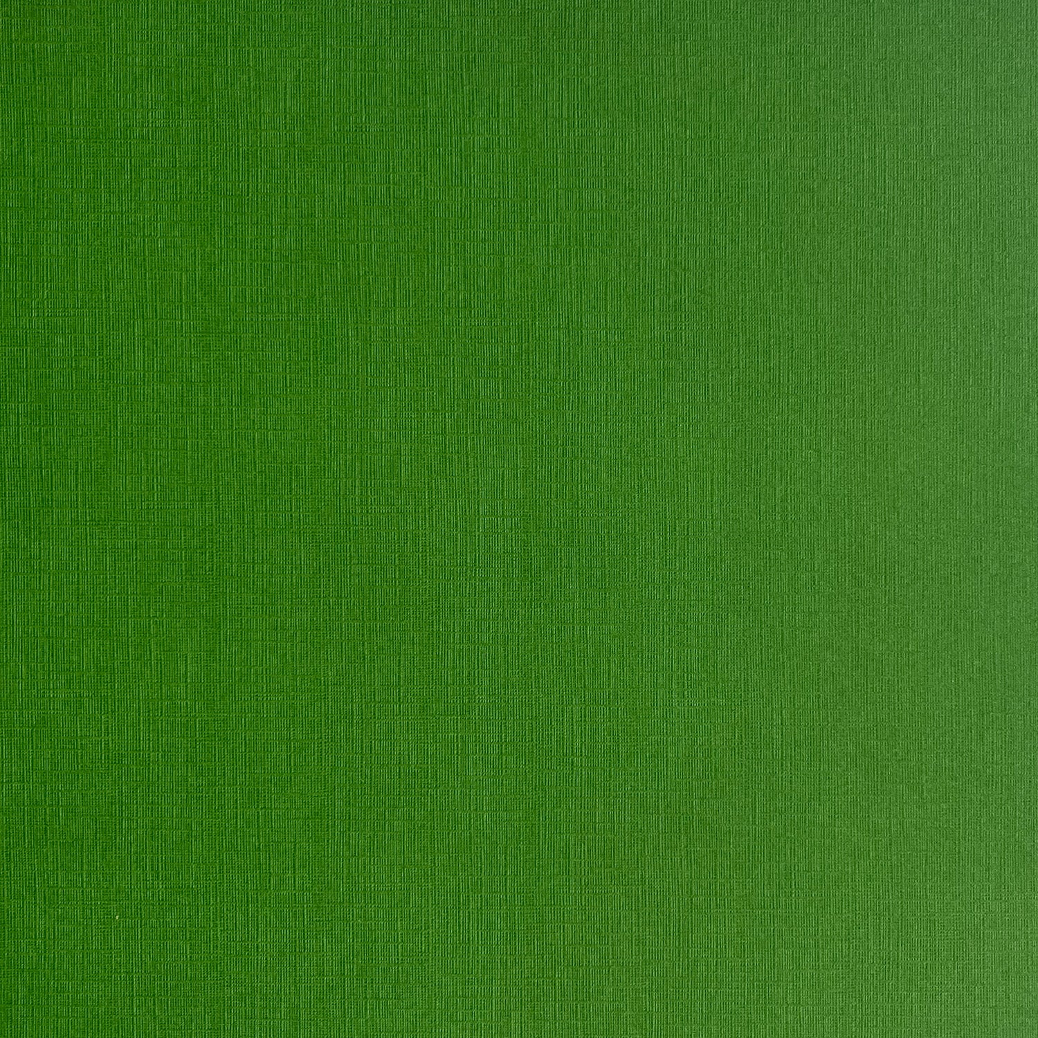 PARROT 12x12 Textured Green Cardstock My Colors The 12x12 Cardstock