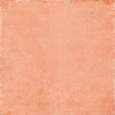 CURIOSITIES IN WILLOW GROVE STAPLES PAPER PACK 12X12 Collection Kit - 49 AND MARKET
