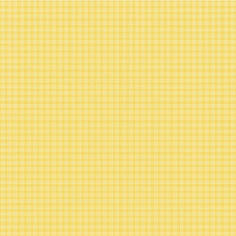 PRESS PAUSE - 12x12 Double-Sided Patterned Paper - Simple Stories