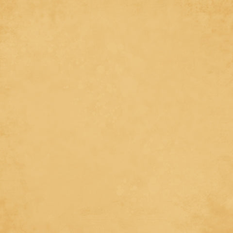 SAFFRON GINGHAM - 12x12 Double-Sided Patterned Paper - Simple Stories