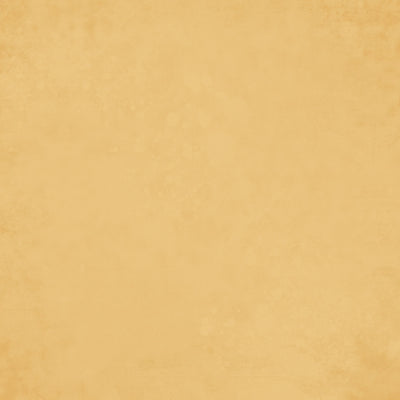 SAFFRON GINGHAM - 12x12 Double-Sided Patterned Paper - Simple Stories