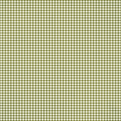JUNIPER GINGHAM - 12x12 Double-Sided Patterned Paper - Simple Stories