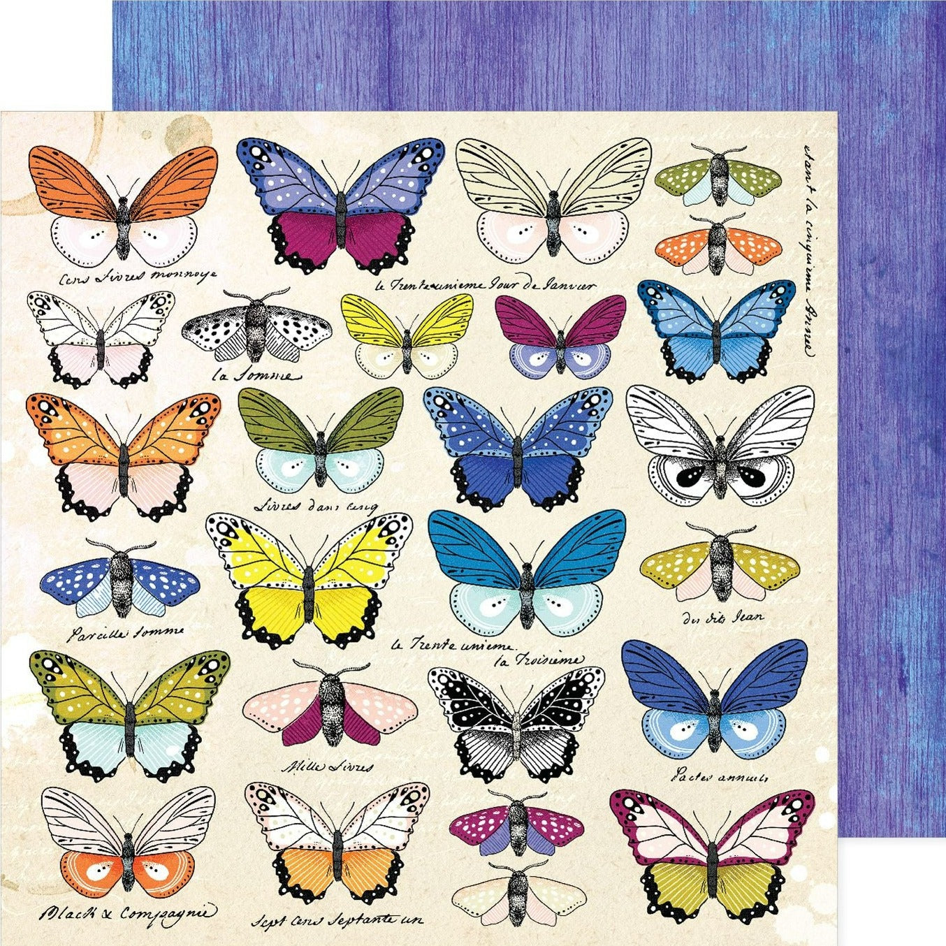 12x12 patterned cardstock. (Side A - beautiful butterflies in multiple colors on a cream background; Side B - blue distressed background) - Archival-safe and acid-free from American Crafts
