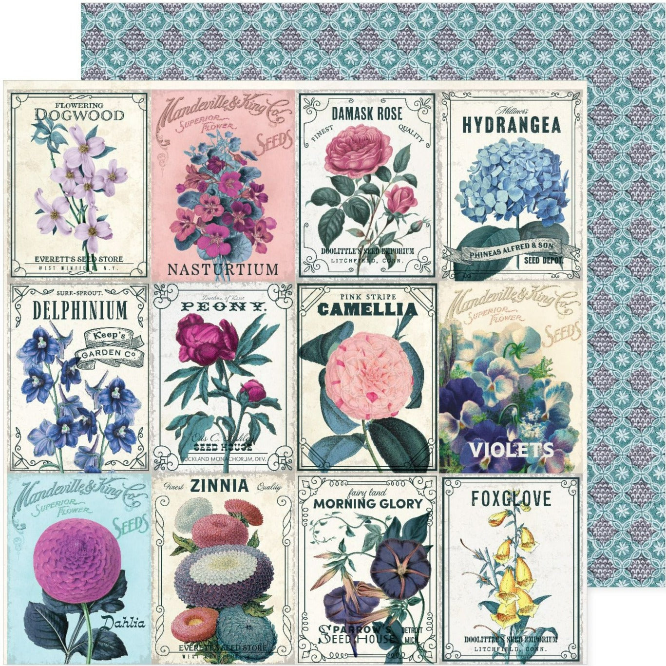 12x12 patterned cardstock. (Side A - rows of floral seed packets on a cream background, Side B - turquoise and gray lacey vintage pattern) - Archival-safe and acid-free from American Crafts