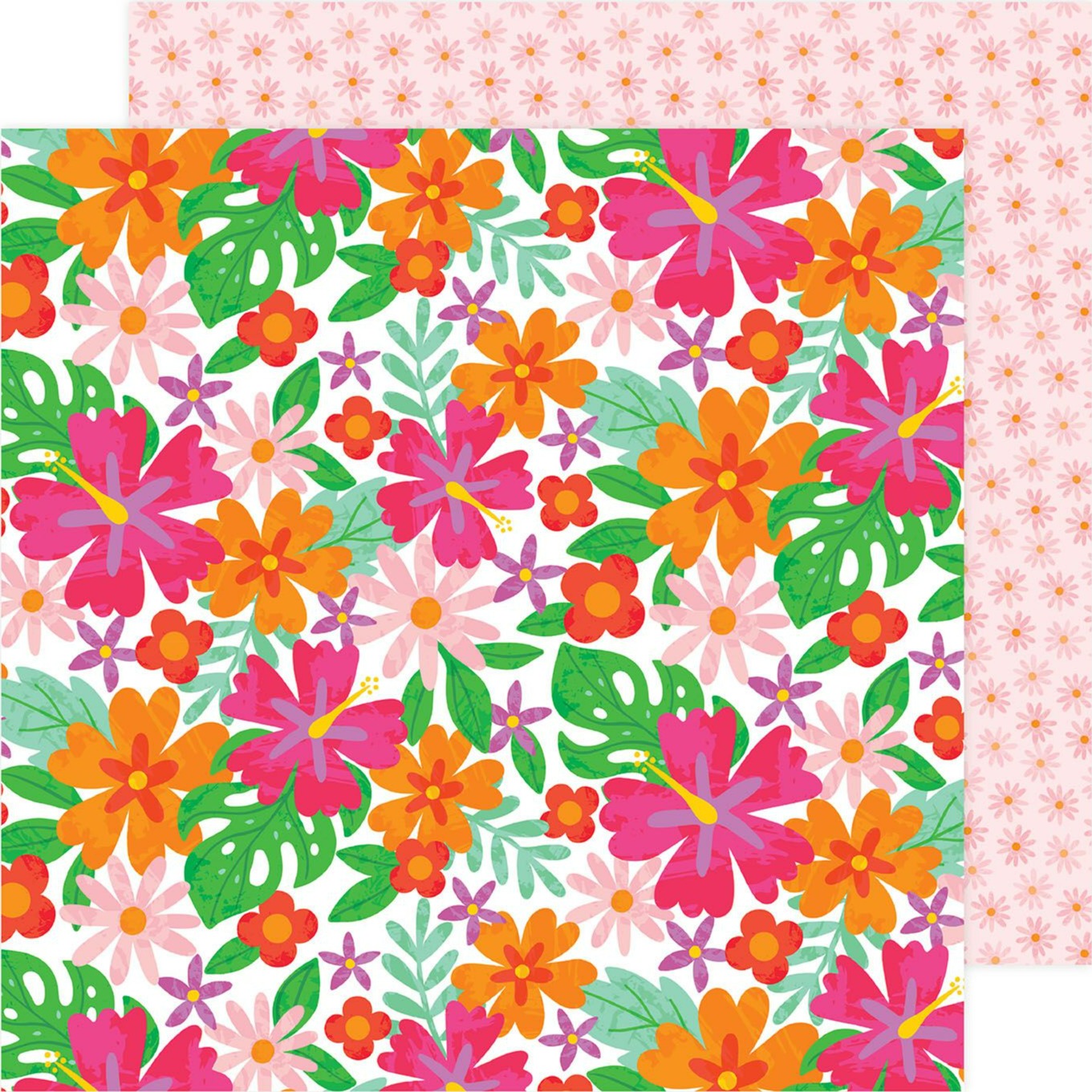 (vibrant orange and pink hibiscus flowers on a white background - light pink flowers on a light pink background reverse)