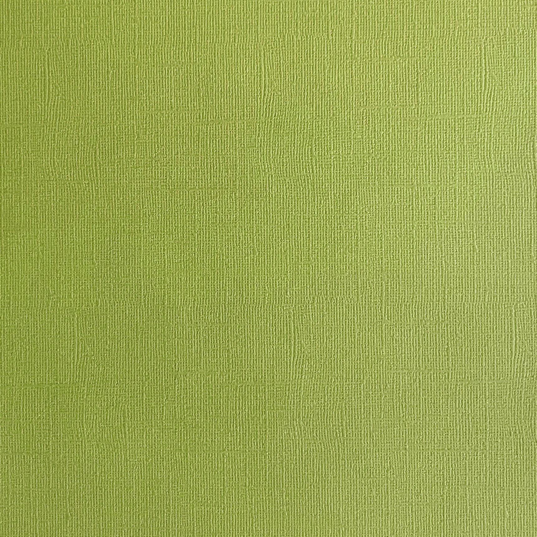CACTUS 12x12 Textured Olive Green Cardstock - Encore Paper – The 12x12 ...