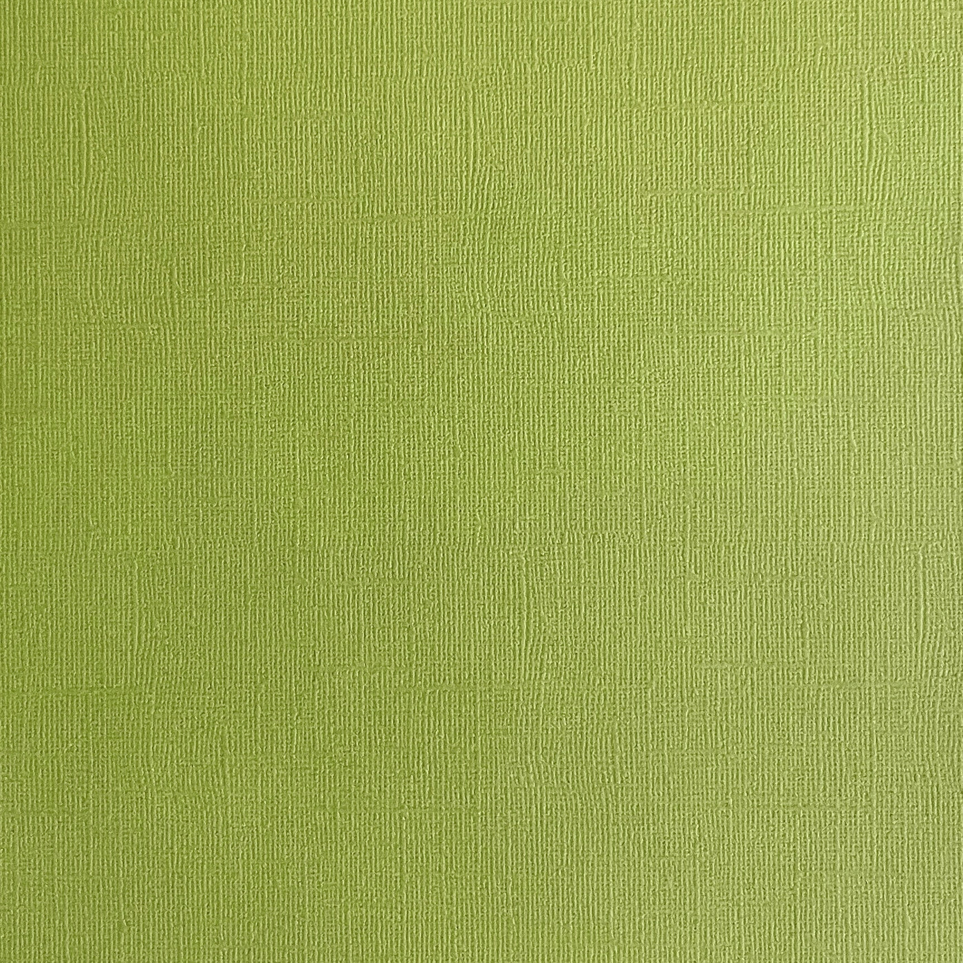 CACTUS - Olive Green Textured 12x12 Cardstock - Encore Paper