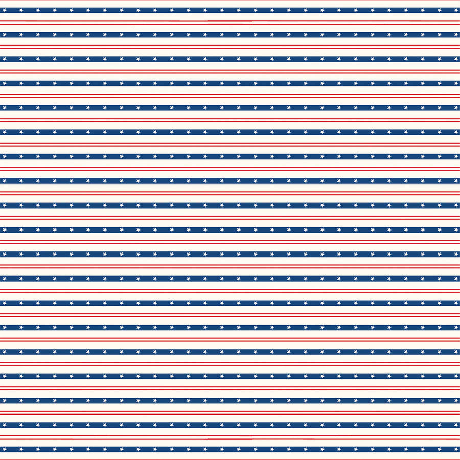 AMERICA 4X4 JOURNALING CARDS - 12x12 Double-Sided Patterned Paper - Echo Park