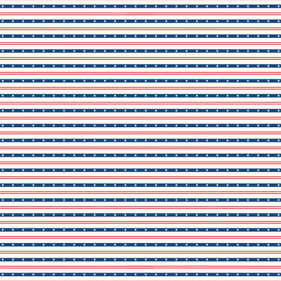 AMERICA 4X4 JOURNALING CARDS - 12x12 Double-Sided Patterned Paper - Echo Park