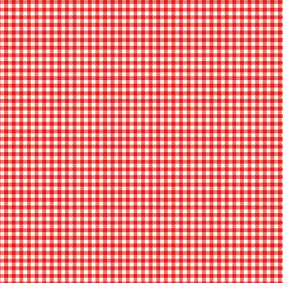 CELEBRATE FIREWORKS - 12x12 Double-Sided Patterned Paper - Echo Park