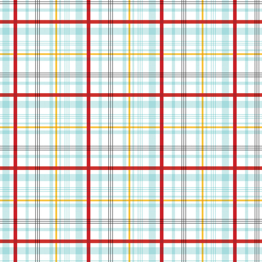 FIREWORKS - 12x12 Double-Sided Patterned Paper - Echo Park