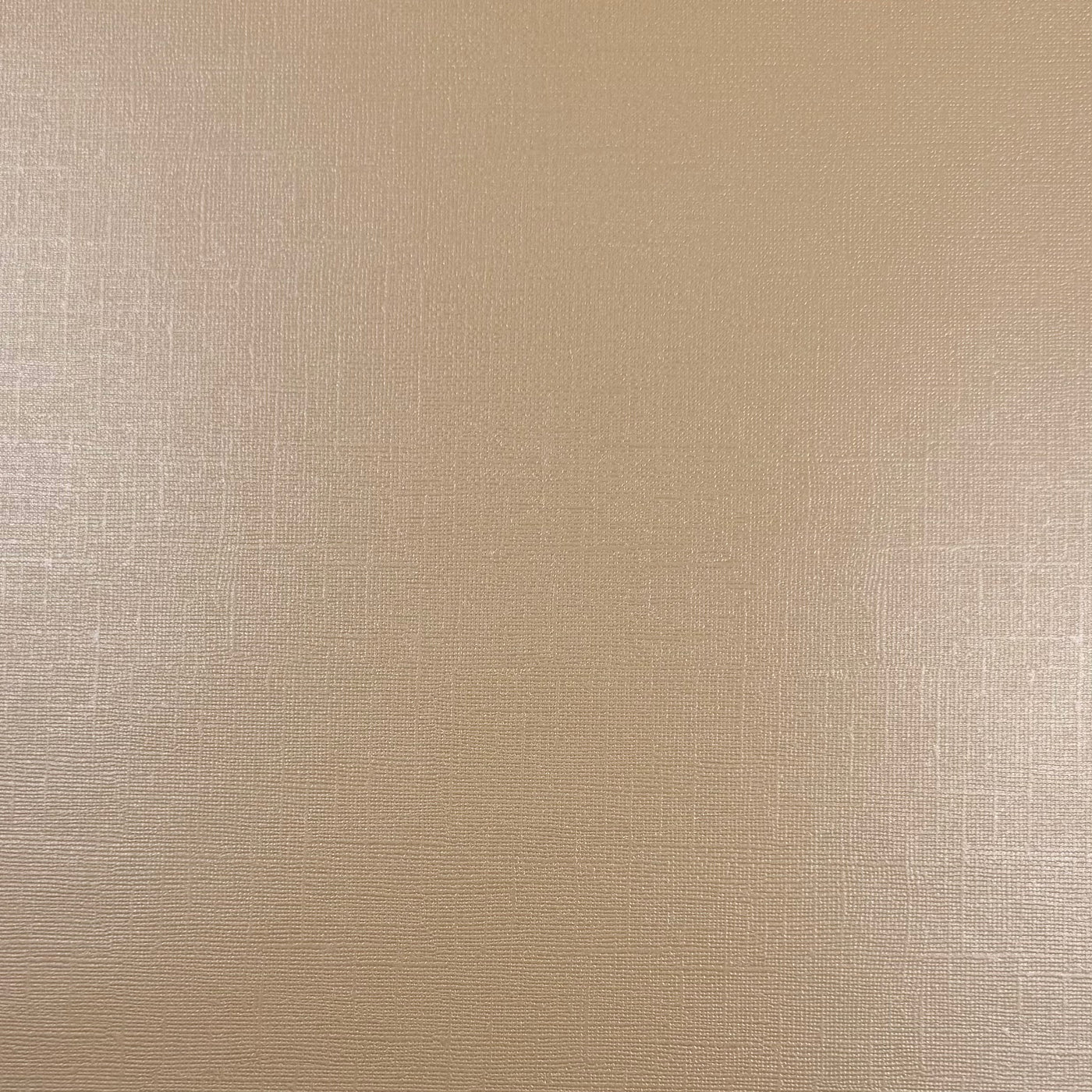 ALABASTER- Shimmery Textured 12x12 Cardstock - Encore Paper