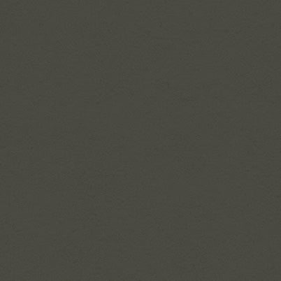BATTLESHIP GRAY - My Colors Heavyweight 100 lb 12x12 Cardstock