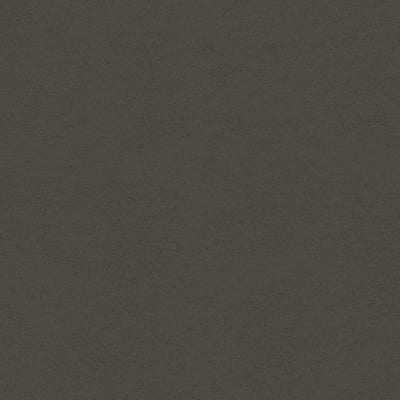 BATTLESHIP GRAY - My Colors Heavyweight 100 lb 12x12 Cardstock