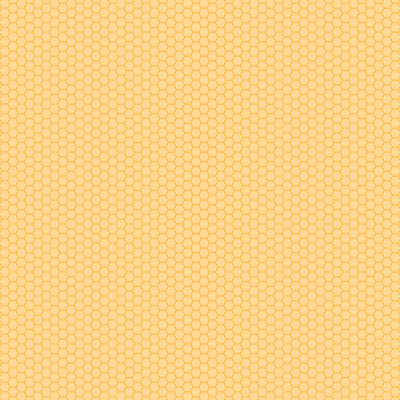LIFE IS SWEET - 12x12 Double-Sided Patterned Paper - Echo Park