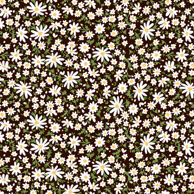 LAZY DAISY - 12x12 Double-Sided Patterned Paper - Echo Park