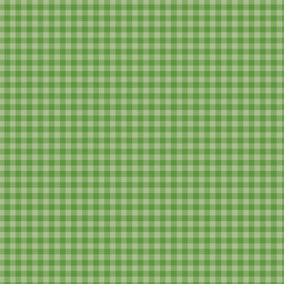 12x12 double-sided patterned paper. Side A - leaf green-colored gingham pattern, Side B - leaf green gingham with a smaller design set. Archival quality.