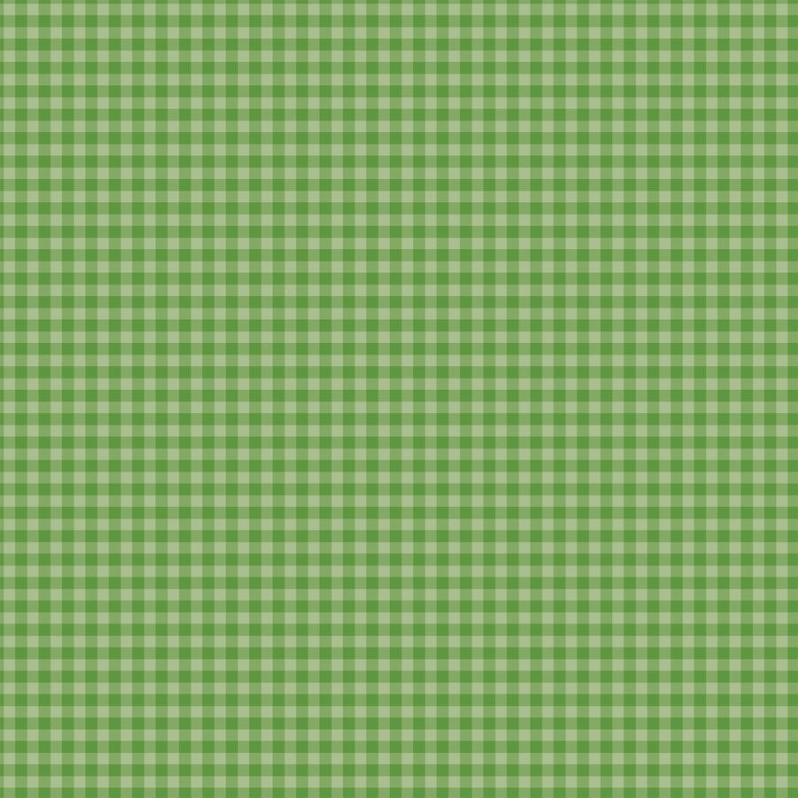 BOLD GINGHAM LEAF GREEN - 12x12 Double-Sided Patterned Paper - Echo Park