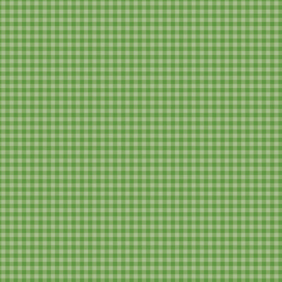 BOLD GINGHAM LEAF GREEN - 12x12 Double-Sided Patterned Paper - Echo Park
