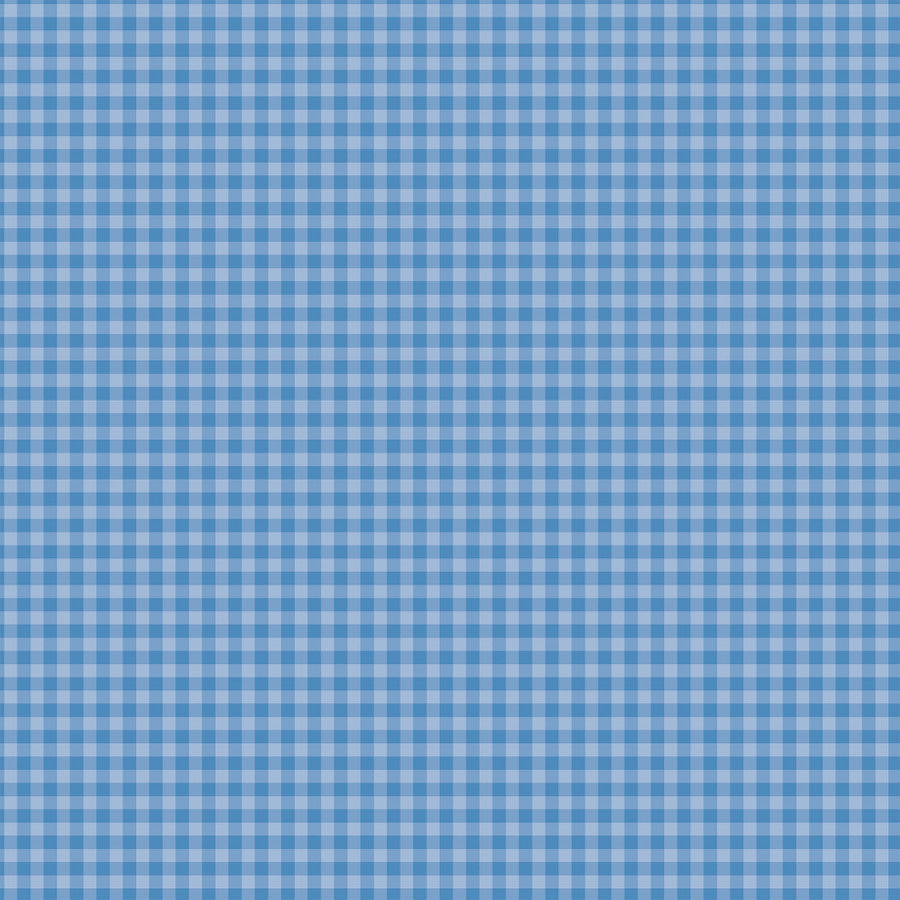 12x12 double-sided patterned paper. Side A - sea blue-colored gingham pattern, Side B - sea blue gingham with a smaller design set. Archival quality.