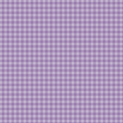 BOLD GINGHAM PURPLE - 12x12 Double-Sided Patterned Paper - Echo Park