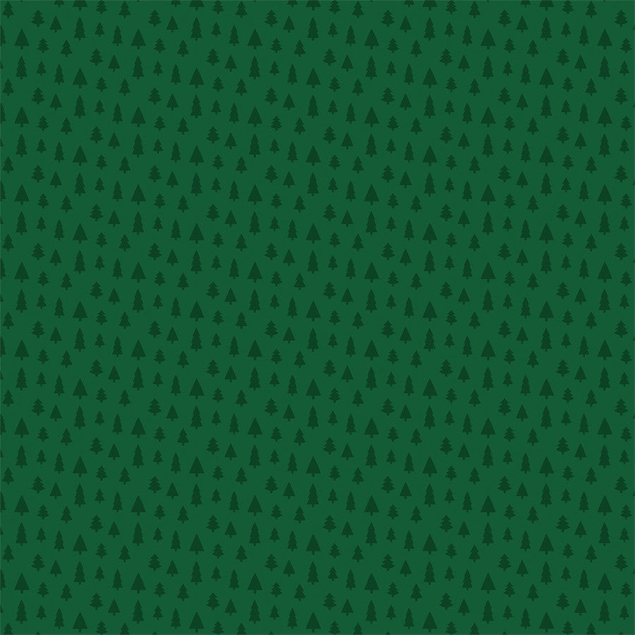 JOLLY SNOWFLAKES- 12x12 Double-Sided Patterned Paper - Echo Park