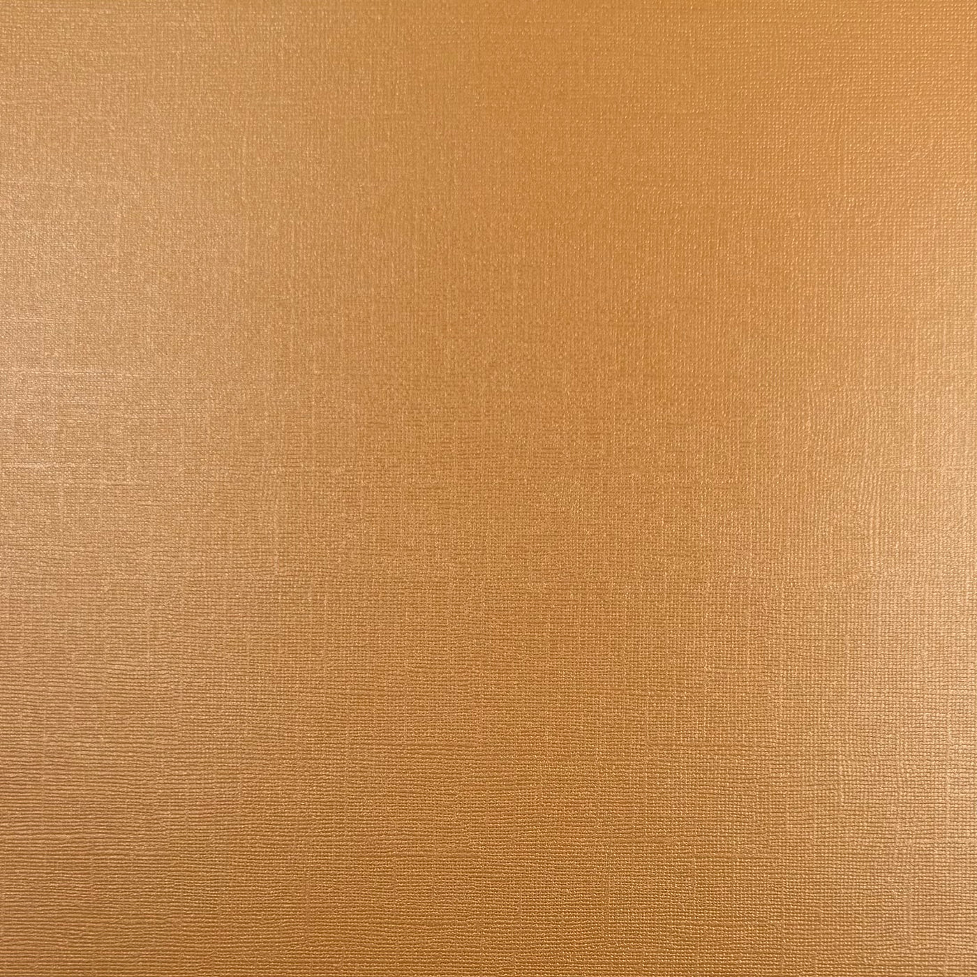 BEEHIVE - Shimmery Textured 12x12 Cardstock - Encore Shimmer