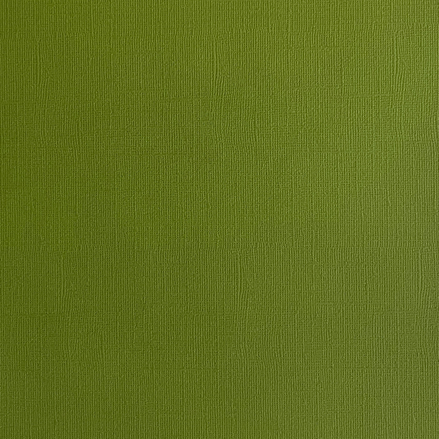 CACTUS - Olive Green Textured 12x12 Cardstock - Encore Paper