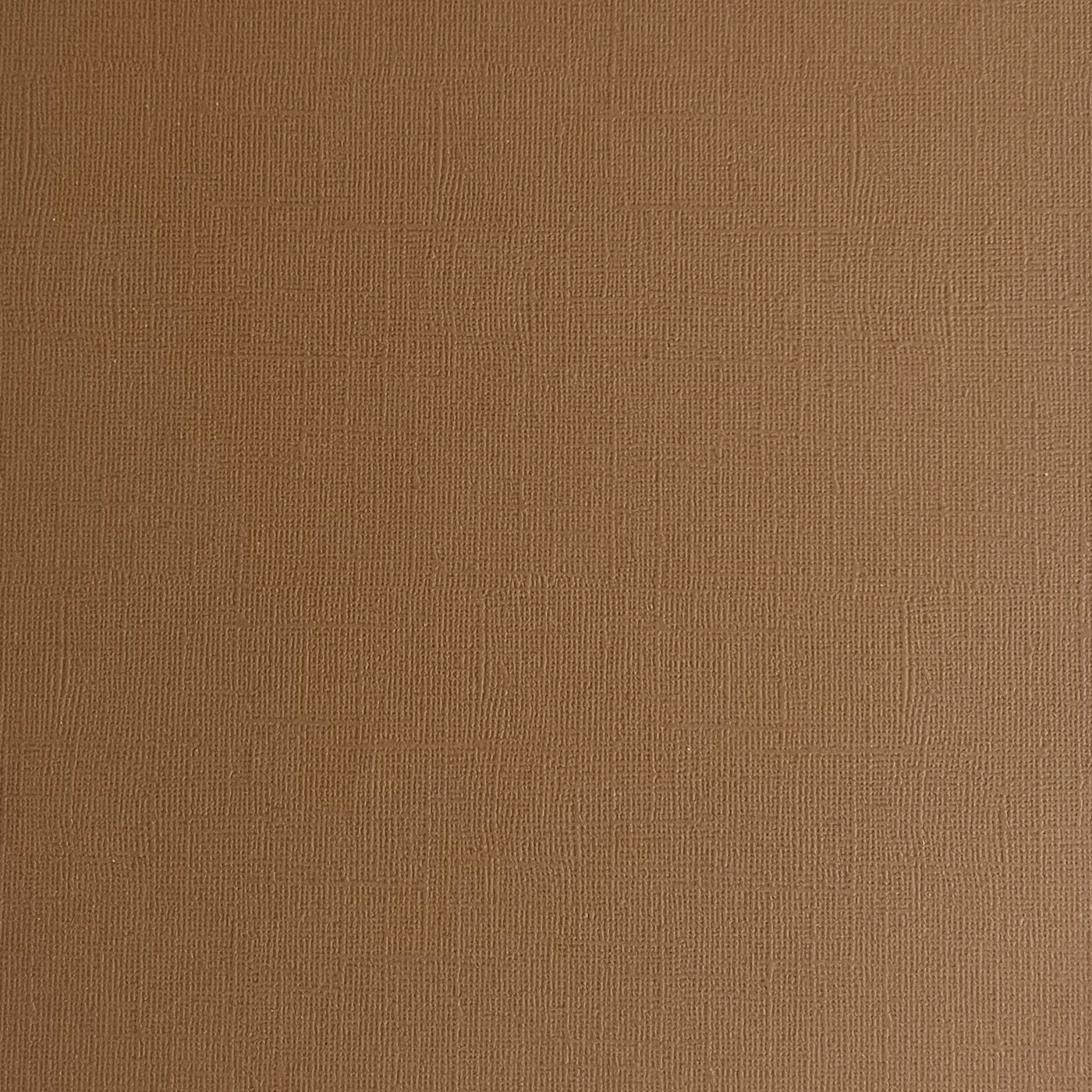 CATTAIL - Brown Textured 12x12 Cardstock - Encore Paper