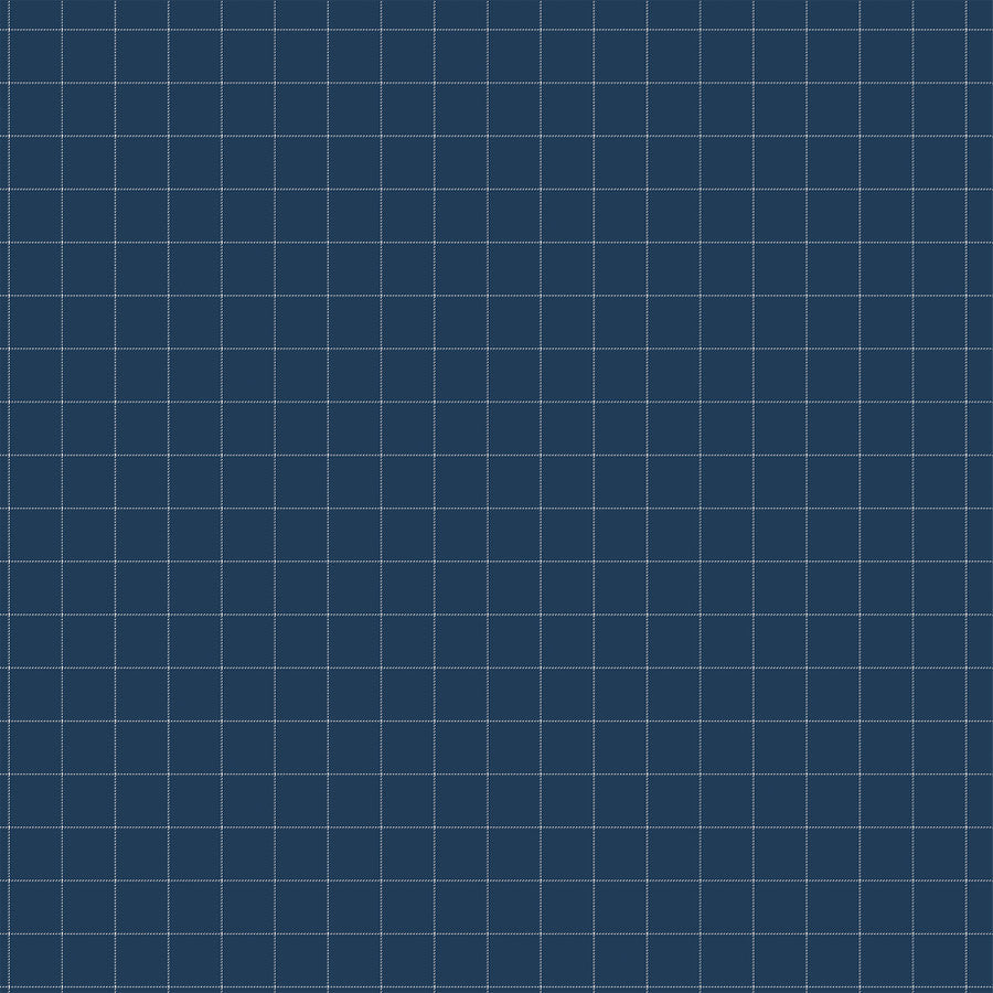 PLAY FETCH - 12x12 Double-Sided Patterned Paper