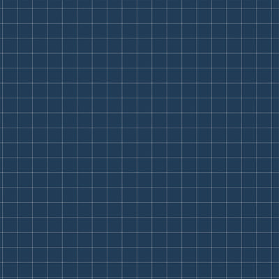 PLAY FETCH - 12x12 Double-Sided Patterned Paper