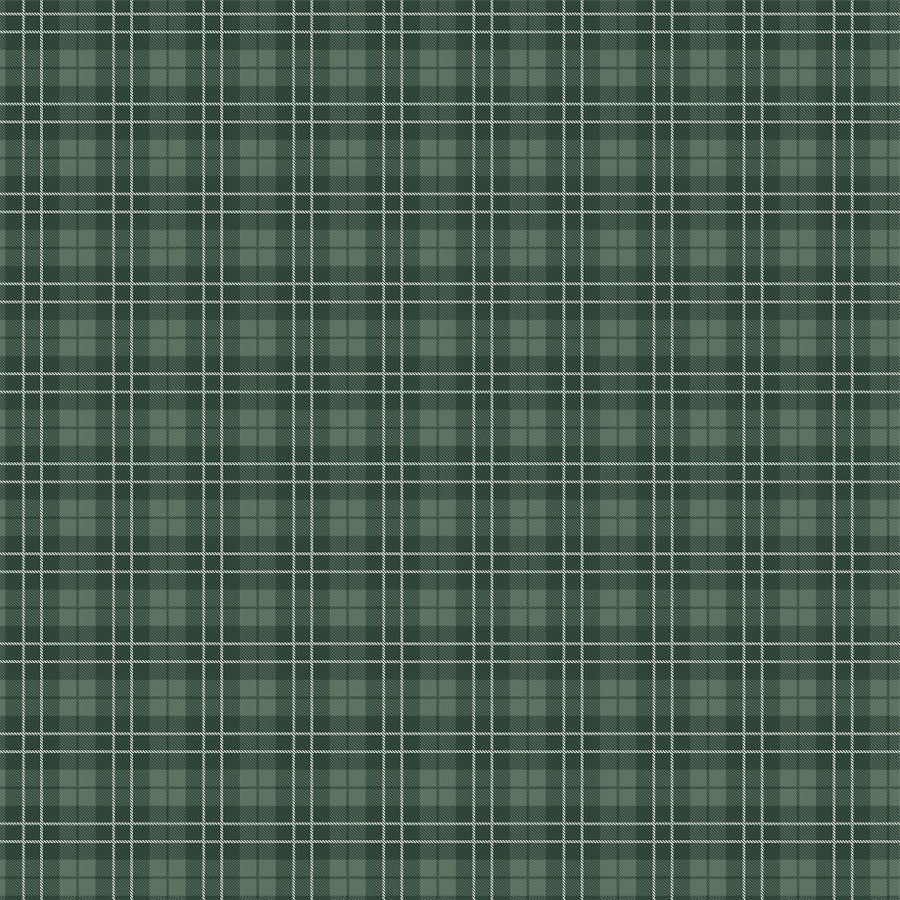 CHAMPION PLAID - 12x12 Double-Sided Patterned Paper