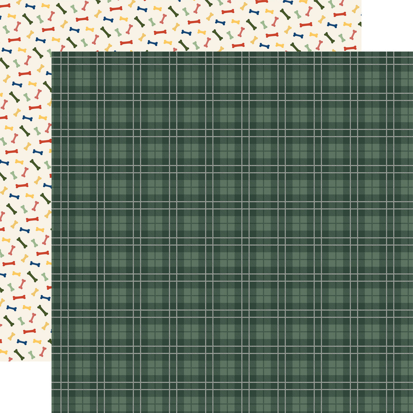 (Side A - a classic plaid pattern on a dark green background, Side B - colorful seamless pattern on a light cream or beige background, featuring a dense scattering of small bone shapes)