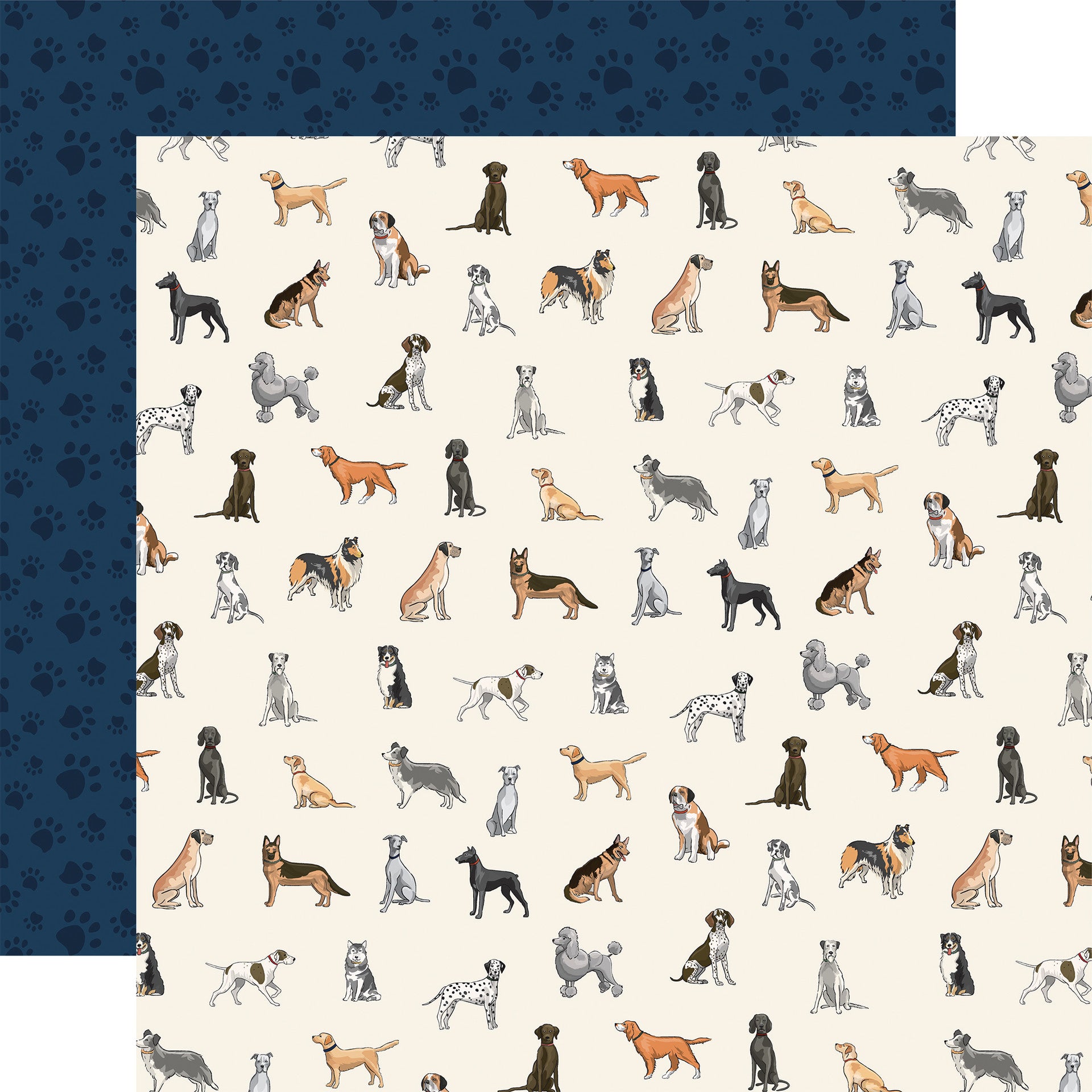 POISED POSES - 12x12 Double-Sided Patterned Paper – The 12x12 Cardstock ...