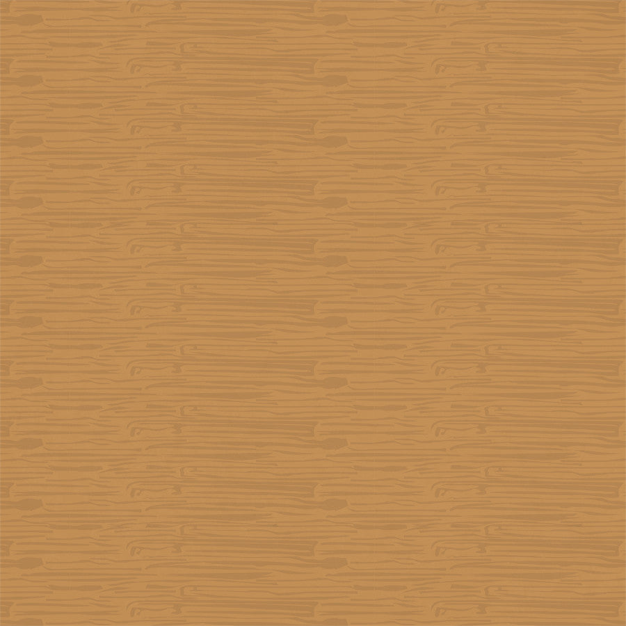 BACK TO SCHOOL 6X4 JOURNALING CARDS  - 12x12 Double-Sided Patterned Paper - Carta Bella