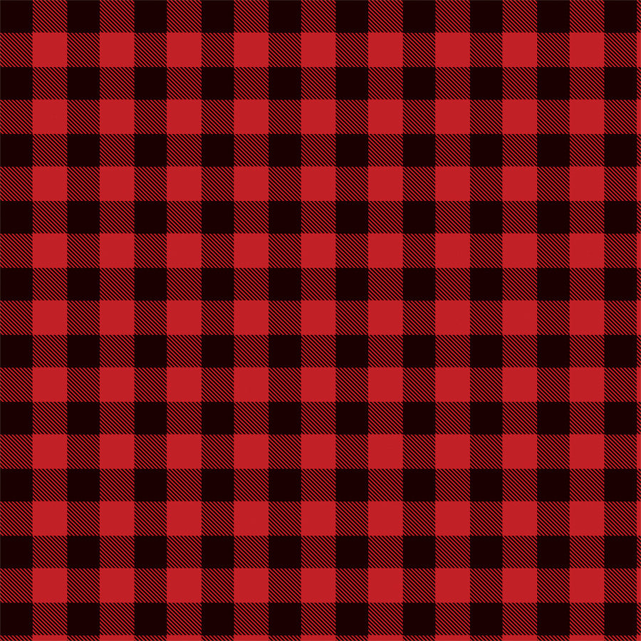 BUFFALO PLAID - 12x12 Patterned Cardstock - Carta Bella
