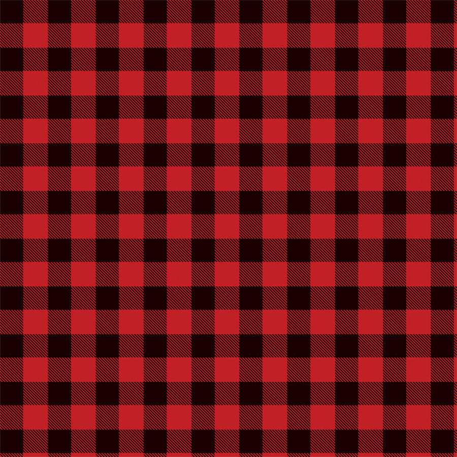 BUFFALO PLAID - 12x12 Patterned Cardstock - Carta Bella