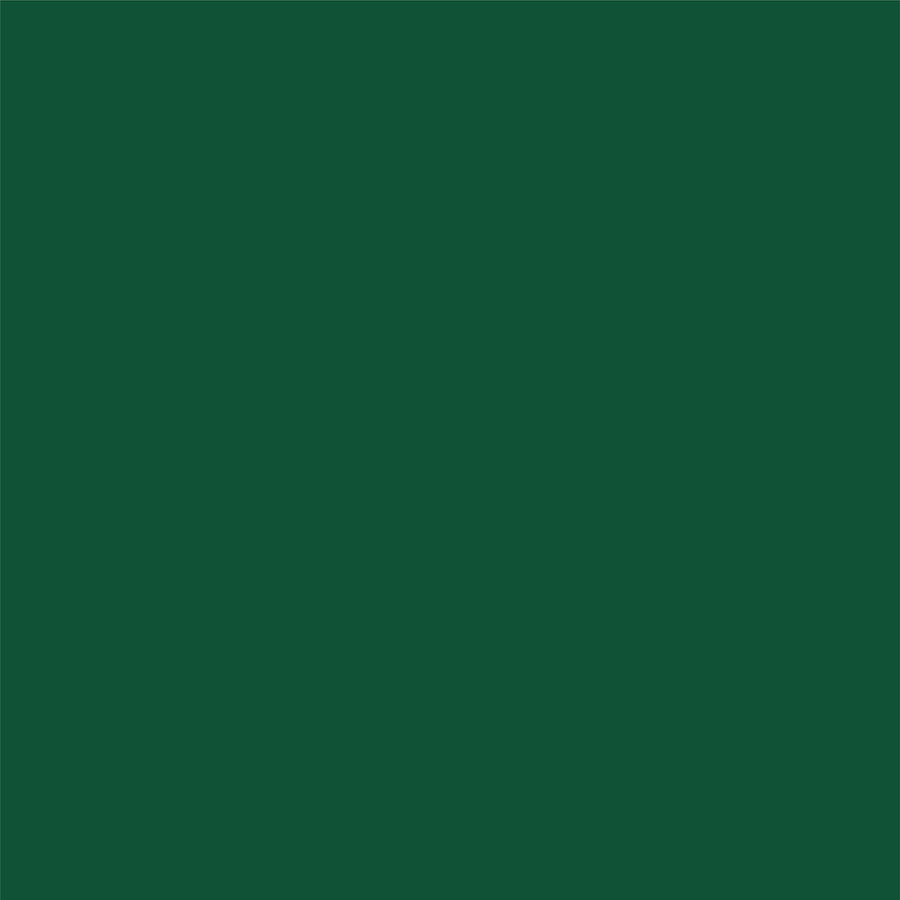 GREEN HOLLY & BERRIES GOLD FOIL - 12x12 Cardstock - Carta Bella