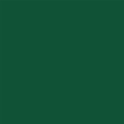 GREEN HOLLY & BERRIES GOLD FOIL - 12x12 Cardstock - Carta Bella