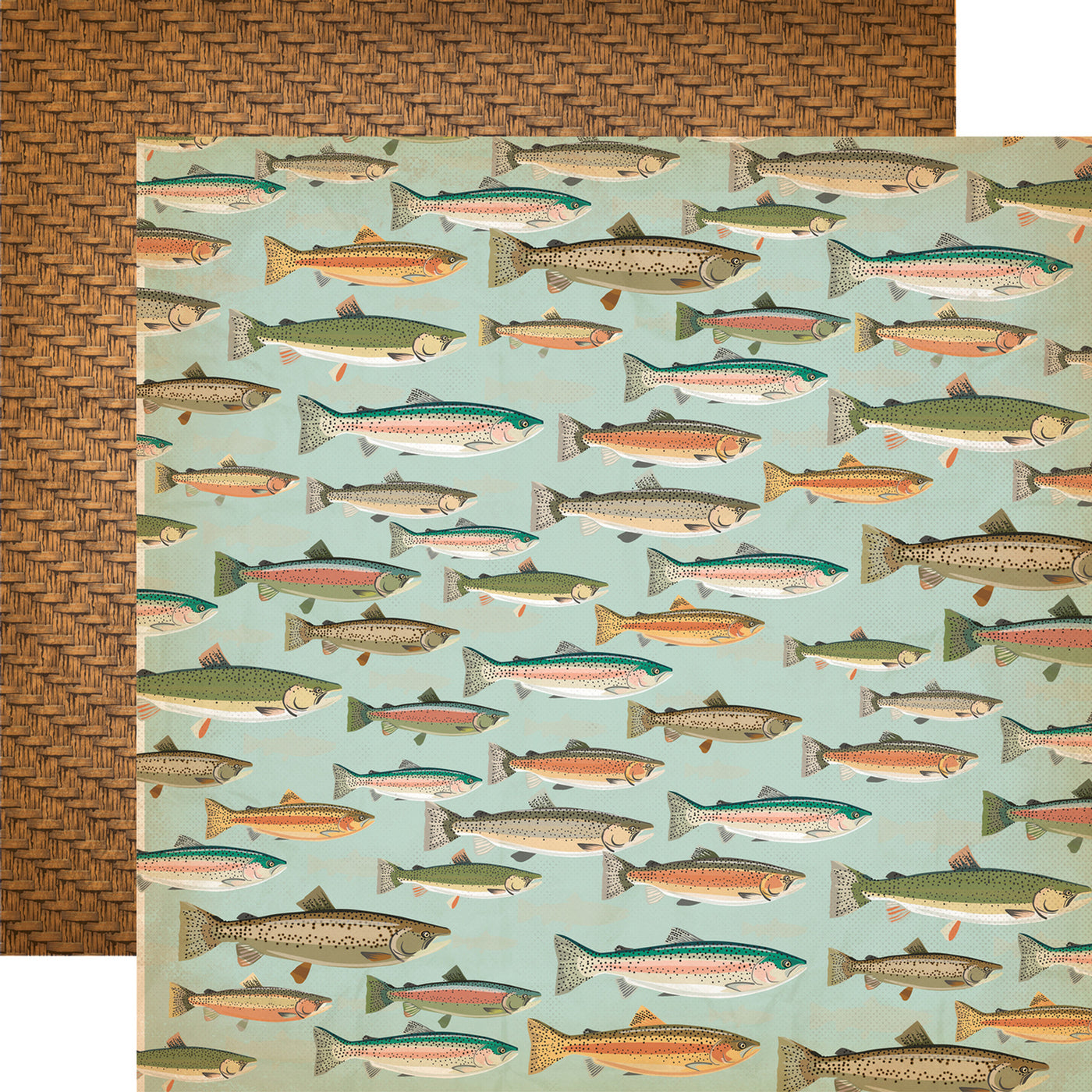 12x12 cardstock. (multiple sizes and colors of trout and other related fish on a blue background with brown basket weave pattern reverse)